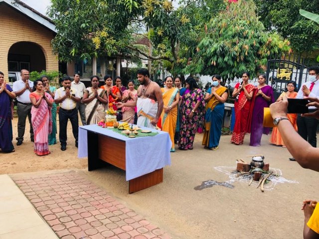 Thai Pongal Festival - 2023